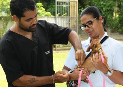 Nova Iguaçu promove campanha de vacinação antirrábica para cães e gatos nos dias 4 e 18 de outubro