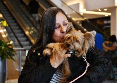 Prefeitura de Nova Iguaçu realiza última campanha de adoção de pets de 2025 neste sábado (6)