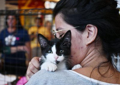 Prefeitura de Nova Iguaçu promove primeira campanha de adoção de animais de 2026