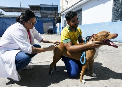 Nova Iguaçu vai promover vacinação antirrábica para cães e gatos neste sábado (19)