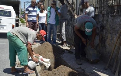Nova Iguaçu planta ipê roxo para amenizar o calor