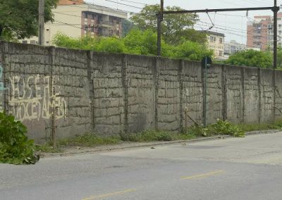 Crime ambiental: homem corta com facão 16 árvores em Nova Iguaçu