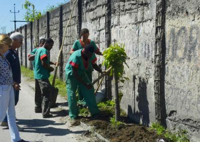 Pela terceira vez, Nova Iguaçu replanta 16 mudas de Ipê Roxo