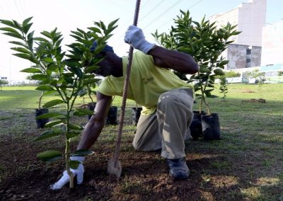 Nova Iguaçu inicia projeto Portal dos Laranjais na Via Light
