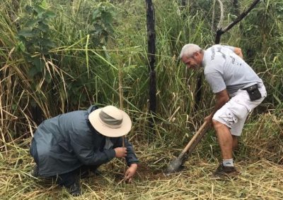 Ação de restauração florestal marca o fim da 1ª Jornada Ambiental de Nova Iguaçu