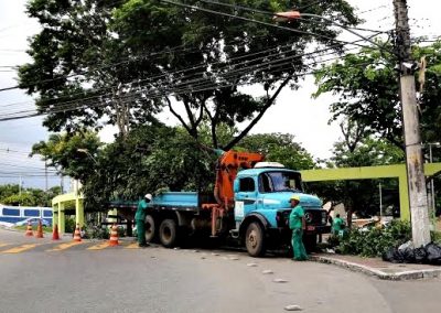 Prefeitura de Nova Iguaçu poda árvores na Praça Silvino Azeredo