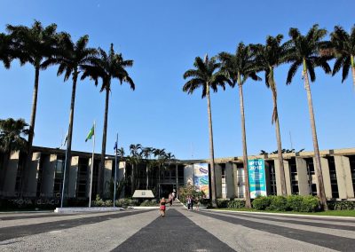 Nova Iguaçu resgata sua história com o plantio de nova palmeira no Paço Municipal