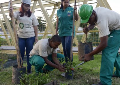 Nova Iguaçu comemora Dia Mundial do Meio Ambiente com 21 mil novas árvores em Tinguá e Santa Rita
