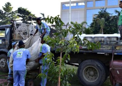 Nova Iguaçu realiza corte de grama e limpeza de canteiros na Via Light