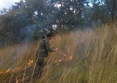 Guarda Ambiental de Nova Iguaçu combate incêndio na Serra de Madureira