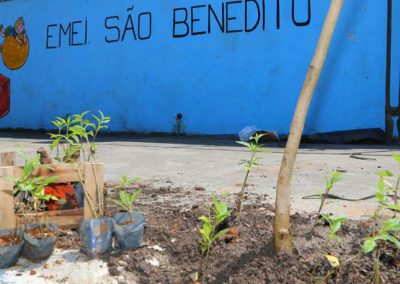 Nova Iguaçu realiza o plantio de 150 mudas até o final do mês em homenagem ao Dia Mundial da Árvore
