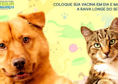 A Secretaria de Saúde criou pontos de vacinação em toda a cidade para imunizar cerca de 25 mil animais