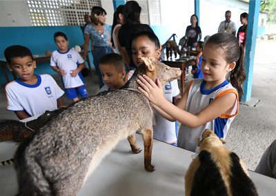 Objetos do Museu Nacional são expostas em escola da rede