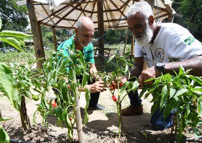 Nova Iguaçu quer ser polo de agricultura orgânica