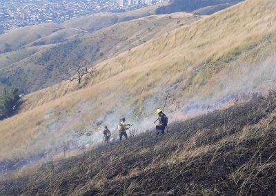 Ações da Guarda Ambiental reduzem incêndios florestais em Nova Iguaçu