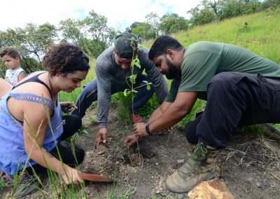 Dia de reflorestamento na Serra do Vulcão