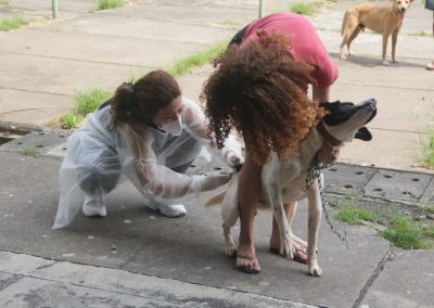 Vacinação Antirrábica continuará até novembro em Nova Iguaçu