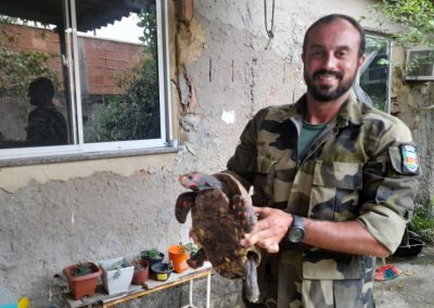 Guarda Ambiental de Nova Iguaçu resgata jabuti e tucano na Viga e Austin