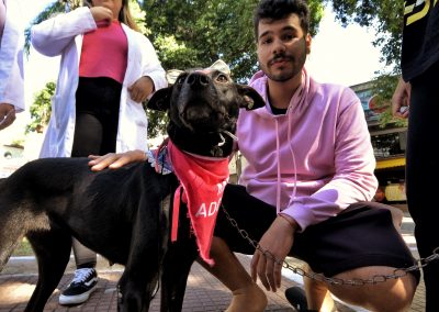Feira de Adoção de Cães e Gatos da Prefeitura de Nova Iguaçu atrai apaixonados por pets
