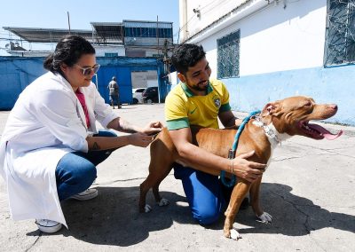 Campanha de Vacinação antirrábica em Nova Iguaçu vai acontecer pelos próximos cinco sábados