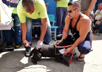 Nova Iguaçu inicia campanha de vacinação antirrábica neste sábado (16)