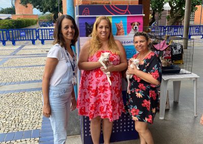 Prefeitura promove oitava feira de adoção de animais nesta terça-feira (5)