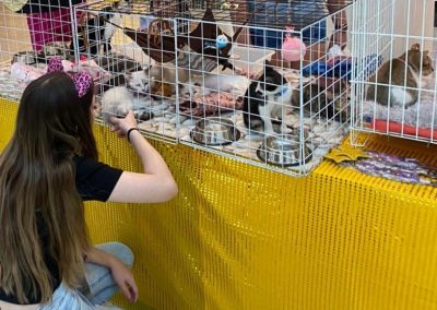Nova Iguaçu promove feira de adoção de mais de 40 cães e gatos nesta terça-feira (27)