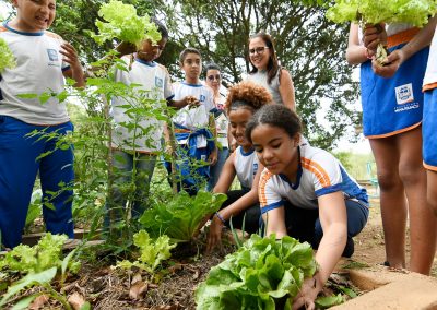 Projeto Escolas que Plantam ensina crianças da rede municipal de Nova Iguaçu a plantar e cultivar dentro das unidades de ensino