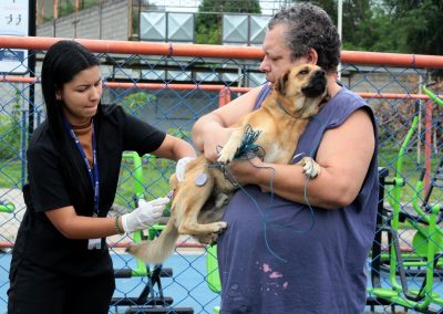 Nova Iguaçu promove nova campanha de vacinação antirrábica neste sábado