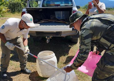 Serpente é resgatada pela Guarda Ambiental de Nova Iguaçu em Iguaçu Velho