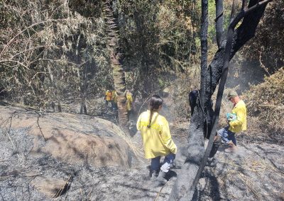 Guarda Ambiental de Nova Iguaçu combate dois incêndios florestais em Áreas de Proteção Ambiental