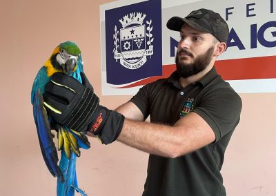Guarda Municipal Ambiental de Nova Iguaçu resgata arara-canindé e jiboia