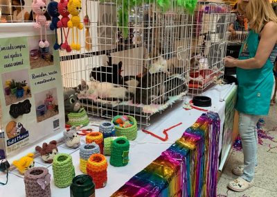 Ações da Prefeitura fazem adoção de animais aumentar 66% em Nova Iguaçu