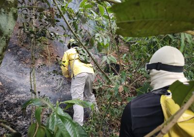 Guarda Ambiental de Nova Iguaçu combate incêndio na Área de Proteção Ambiental de Tinguá