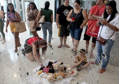 Pets ganham novo lar durante feira de adoção em Nova Iguaçu
