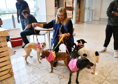 Prefeitura de Nova Iguaçu realiza campanha de adoção de pets neste sábado (7)