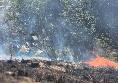 Brigada Florestal Voluntária realiza ações preventivas para evitar incêndios florestais em Nova Iguaçu