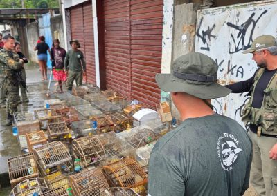 Equipes da Prefeitura de Nova Iguaçu apreendem 47 aves silvestres mantidas irregularmente em casa em Vila de Cava