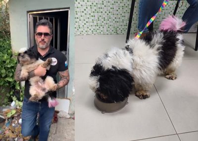 Cão da raça Shih Tzu é resgatado após denúncia à Prefeitura de Nova Iguaçu