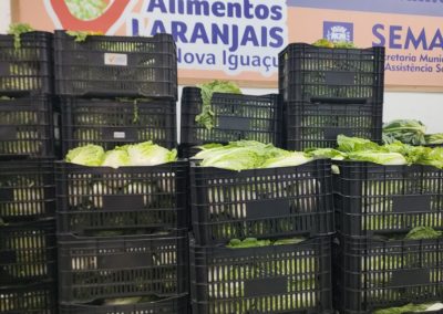 Nova Iguaçu abre inscrições para cadastro de produtores no Programa de Aquisição de Alimentos